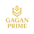 Gagan Prime