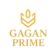 Gagan Prime
